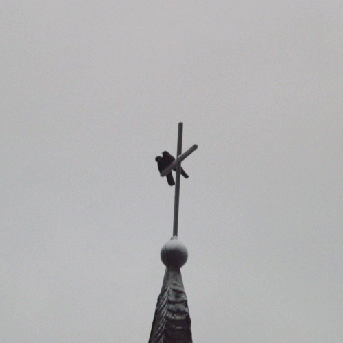 Black Blizzard (GER) : Stigmata